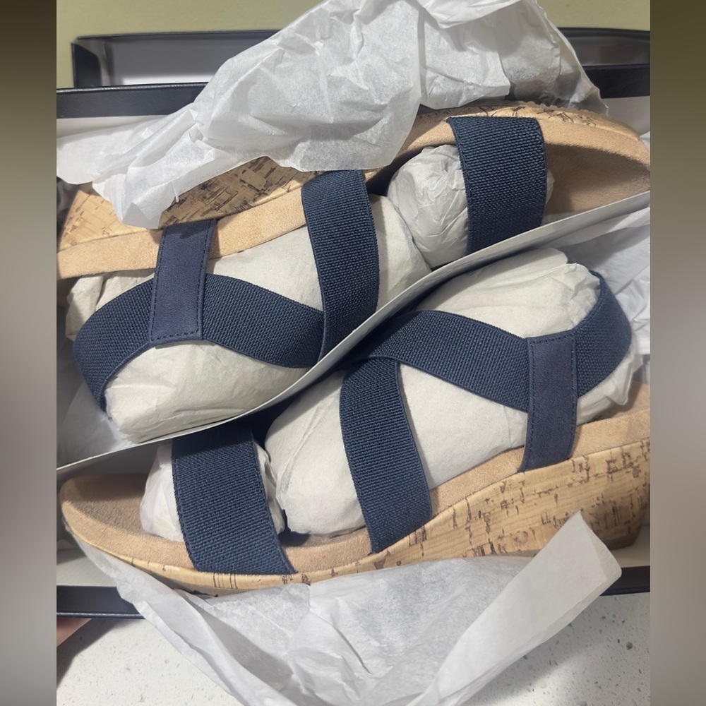 Naturalizer Navy Blue Wedge Sandals